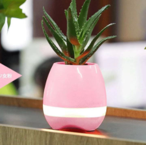 Wireless Flower Pot Speaker