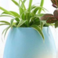 Wireless Flower Pot Speaker